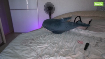 Pussy__Money__Weed  25-07-2021